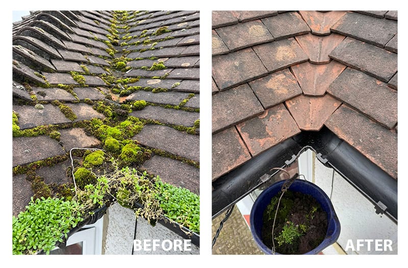 Roof Cleaning example 2