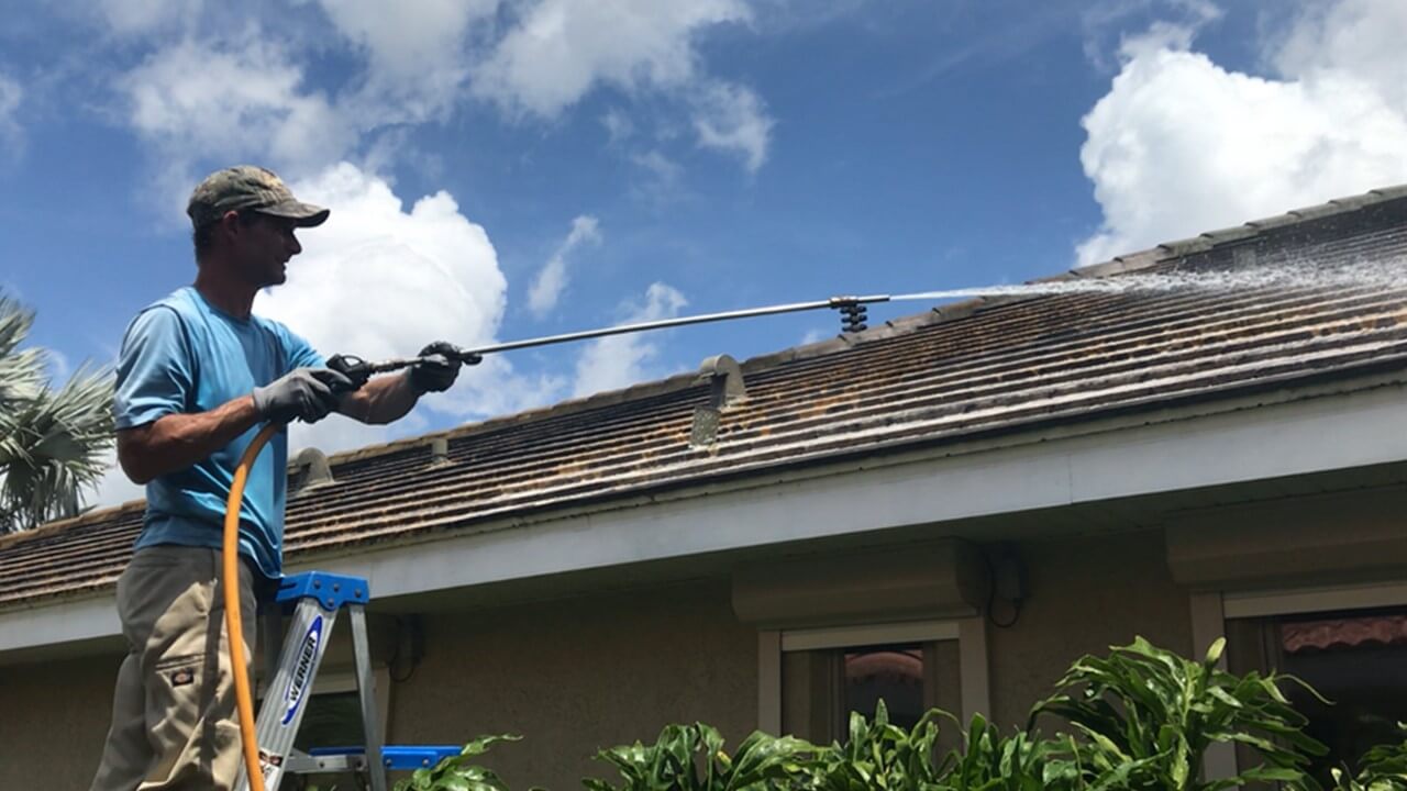 Roof Cleaning example 3