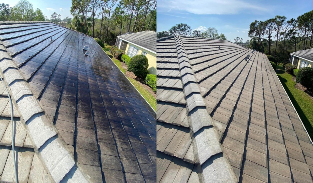 Roof Cleaning example 4