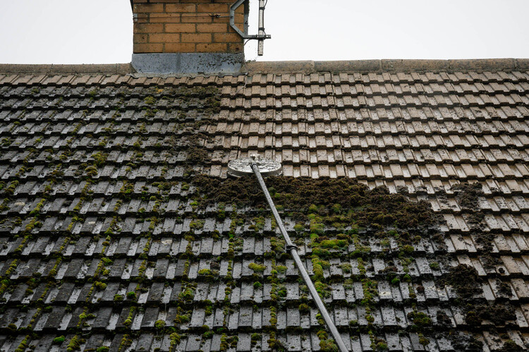 Roof Cleaning example 6