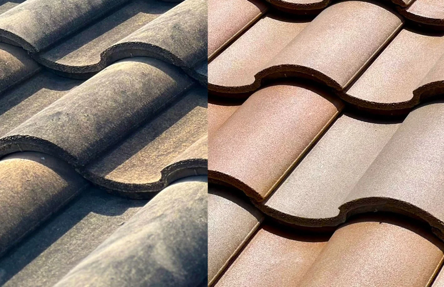 Roof Coating example 6