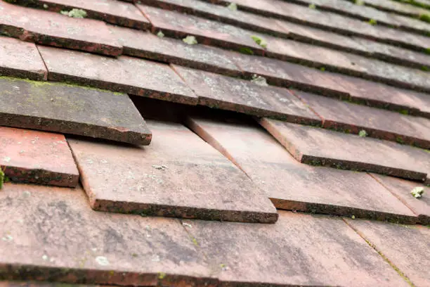 Roof Repairs & Leak Detection example 6
