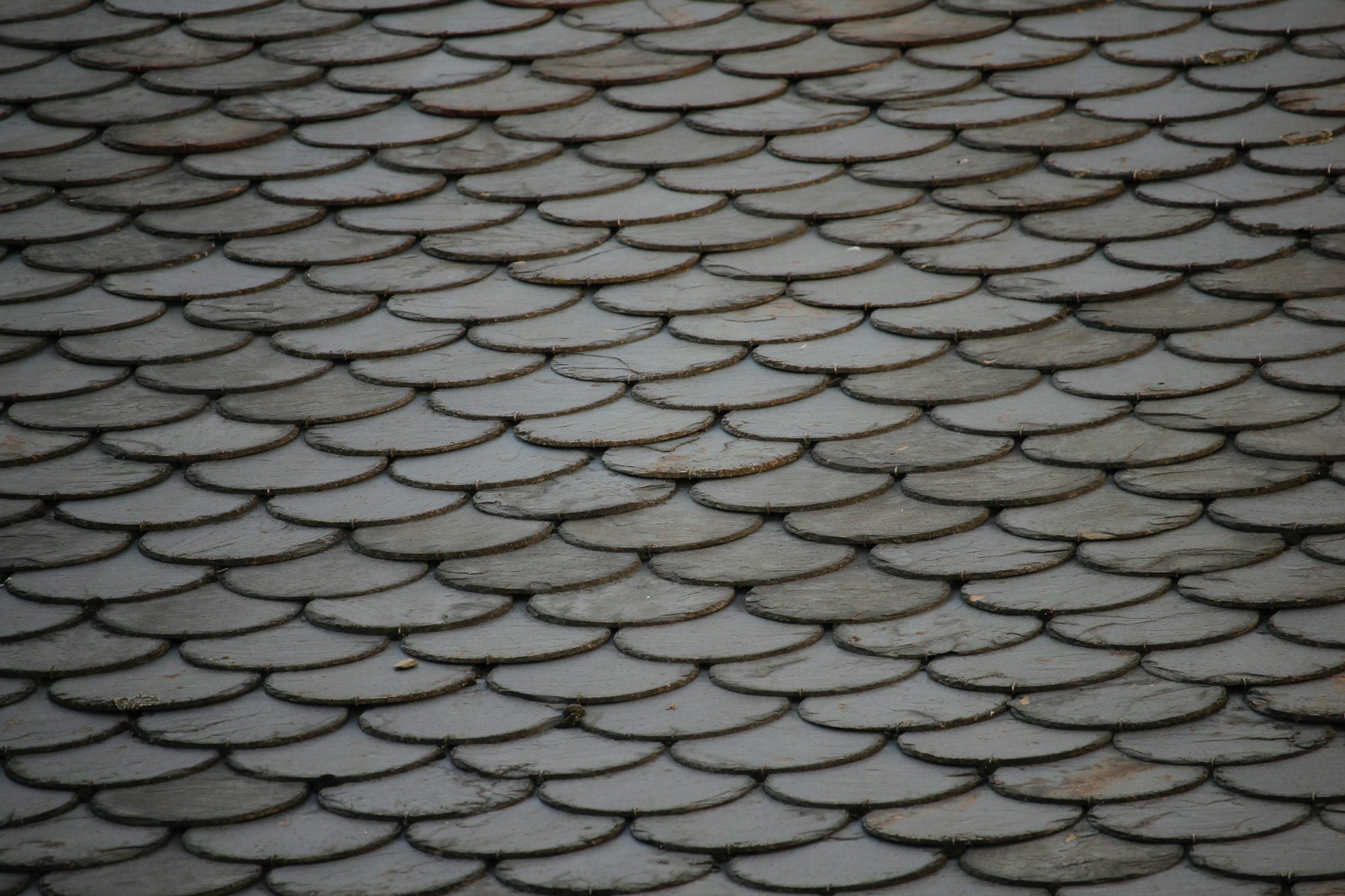 Slate & Tile Roofing example 4